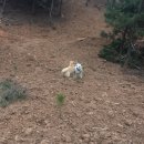 재철농장 이미지