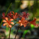 활천공원 이미지