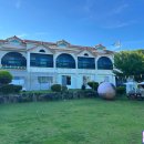 사랑해줄개 이미지