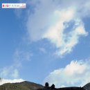 산골사랑농원
