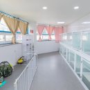 도그 애견미용실 이미지