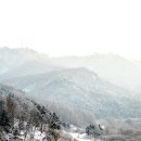 비밀의 정원 이미지