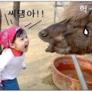 메인컴