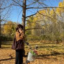 은행나무1길 이미지