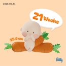 새싹다방 | [임신 21주차] 강남차병원 정밀초음파 검사결과 (아기뇌실크기) / 복숭아와 고기가 엄청 땡기는 주간