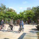 둔산북로90번길 이미지