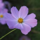 김밥타임 이미지