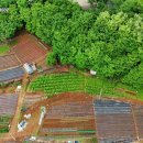 와동 면허시험장 이미지