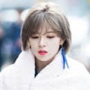 정연