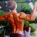 라인헬스 이미지