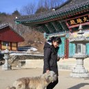 진영각여관 이미지