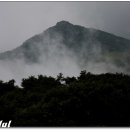 노고단-8 Daum카페