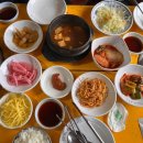 [내돈내산]아산 신정호 ‘연춘식당’ 닭구이 후기 방갈로 반려동물O