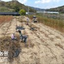 청포농원 이미지