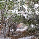 뚝섬한강공원-11 이미지