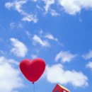 하늘을 날다 이미지