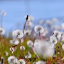 부자인테리어 - 김해시 선지로87번길 5 | 부자인테리어