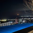 호시 | 일본 벳푸ㅣ스기노이호텔 호시칸 내돈내산 후기 (온천, 수영장, 조석식 후기)