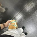 일성덤프 이미지