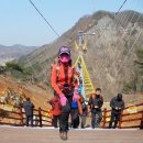 원주 소금산그랜드밸리,섬강 자작나무둘레길(22-03-27) 이미지