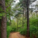 송촌생활체육공원(1) | 송촌체육공원 : 도심속 자연과 운동을 함께 즐길수 있는 공원, 대전 대덕구 가볼만한 곳 추천