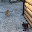 욕지해바다펜션민박 이미지