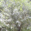 장씨농장 이미지