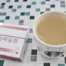 앨리스인크루즈