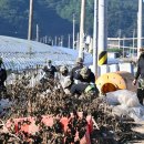 신기리 도로변 이미지