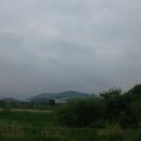 화포천생태습지공원 이미지