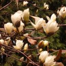 한일 농장 이미지