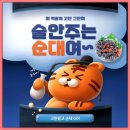풍성순대