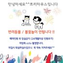 트리하우스민박 이미지