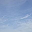 ♤ 기차타고 즐기는 도보여행~ 해파랑길 11코스 경주 이미지