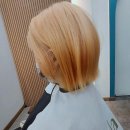 멋내는 강아지 | 복잡한 일상 속 나를 위한 작은 선물, 공릉미용실 플랜에이치에서 찾은 나만의 특별함