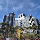 골든트리공인중개사사무소 이미지