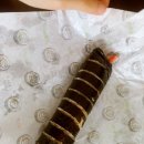 준이네분식 이미지