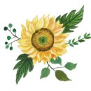 기쁨플러스약국 이미지