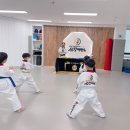 선강태권도장