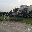 C&P 티스토리