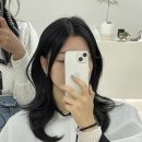 힐아베크헤어 이미지