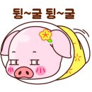 컬헤어 이미지