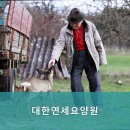대한연세요양원 네이버블로그
