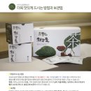 뽕을품은누에 부안 뽕잎차 추천