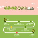 스카이베이 부근 | [강릉 뚜벅이 여행] 당일치기, 동화 가든~경포호까지! 여행 코스!