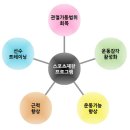 범스포츠