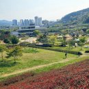 동구리호수공원잔디광장 이미지