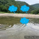 송천떡마을 | 양양 송천떡마을 계곡 후기｜유아 물놀이· 이용요금