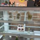 댕댕찹찹 이미지