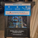 매드포갈릭 대전 신세계 Art & Science 점